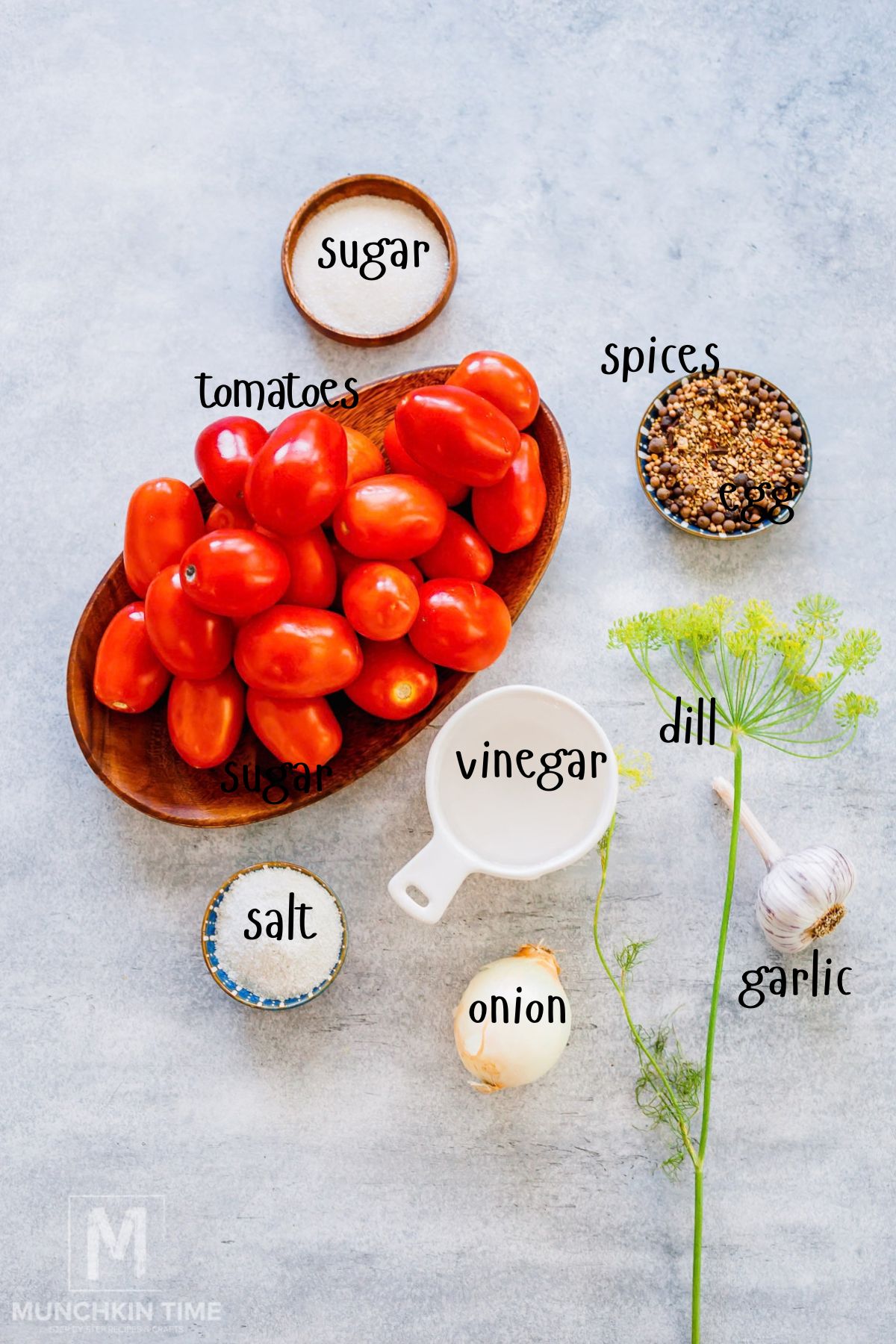 Ingredients for pickled tomatoes including Roma tomatoes fresh dill garlic onion vinegar and pickling spices