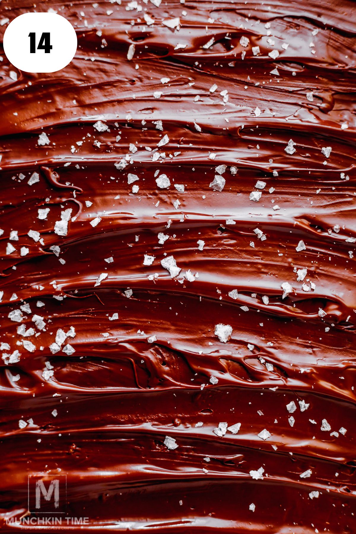 flaky sea salt sprinkled over the chocolate topping before freezing